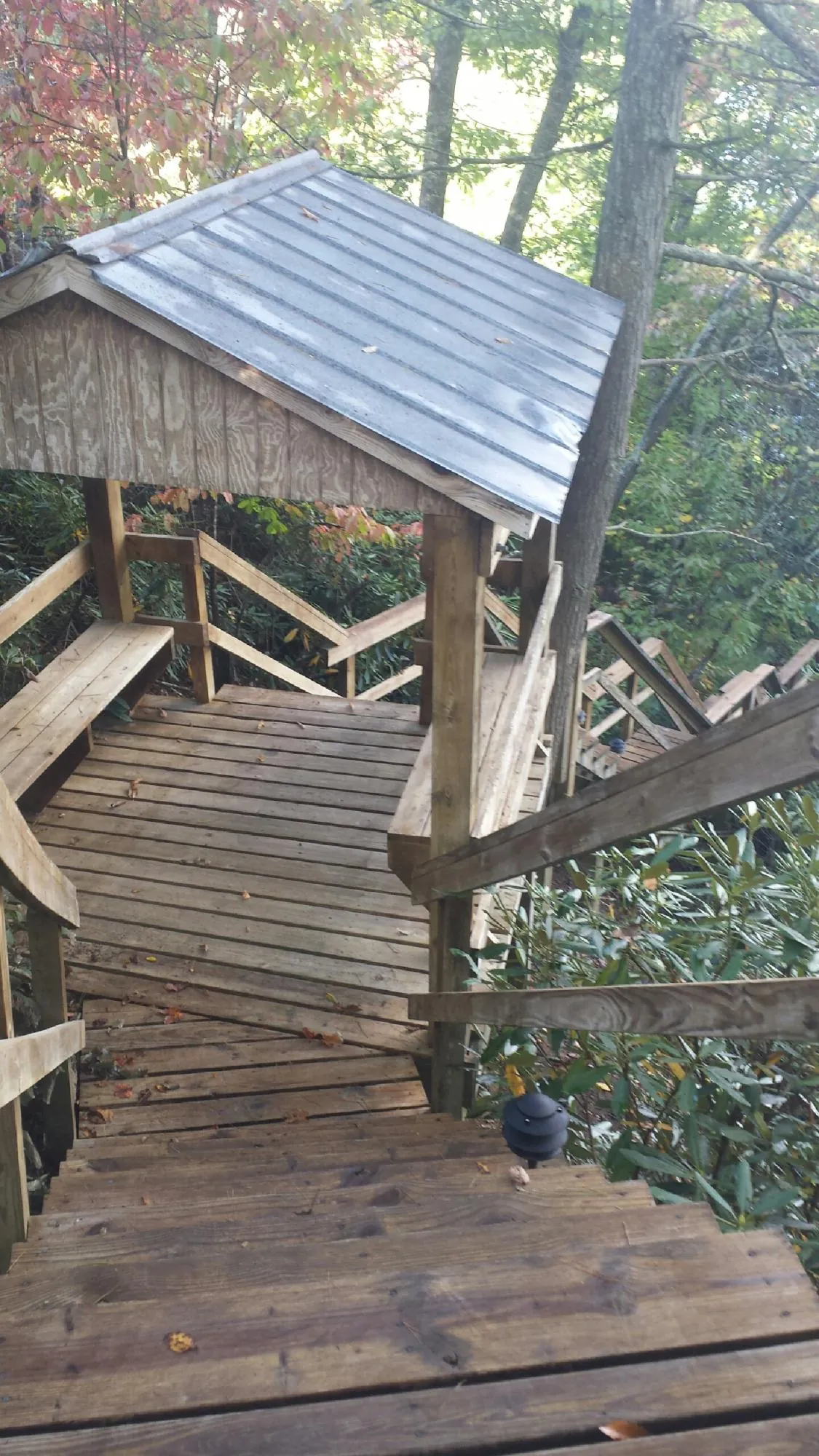 Metal roofed shelter over wooden steps on a wooded walkway — Skylight Repair & Installation work by our crew in Bellevue